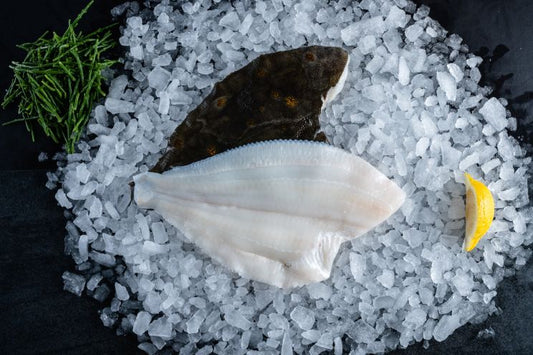 Fresh Plaice Fillet