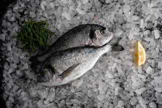 Fresh Whole Gilthead Bream